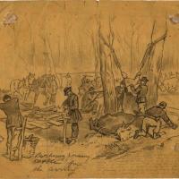 Butchering and Dressing Cattle for the Army Camp at Bacon Creek in Hart County, Kentucky